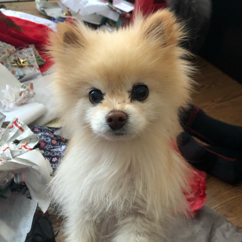 Meet your Posher, Giuditta